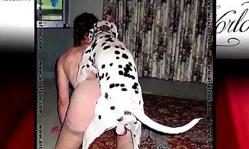 dog porn video,penetration porn