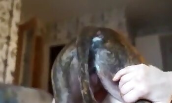brezplačni video posnetki zoosex,pasji porno video