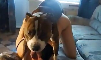 free zoosex videos,dog porn video