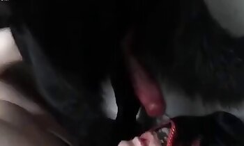 porno animali gratis,video zoosex gratuiti