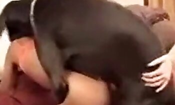 free animal porn,zoophilia porn