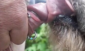 free animal porn,zoo porn with oral