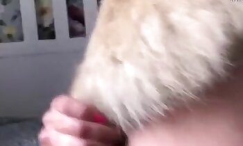 free zoosex videos,zoophilia porn