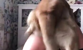 δωρεάν βίντεο zoosex,ζωοφιλία πορνό