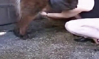 free animal porn,free zoosex videos