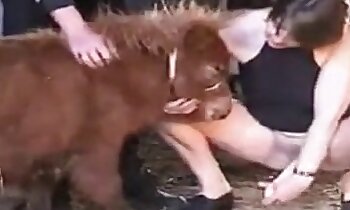 free animal porn,free zoosex videos