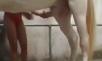 free animal porn