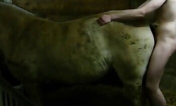 ilmainen eläinporno,eläimellinen seksiporno