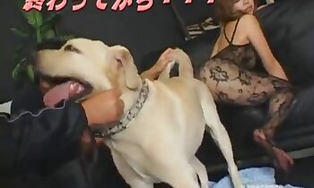 porno zvierat zadarmo,bezplatné zoosex videá