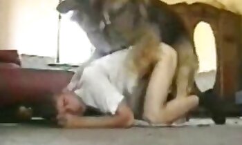 video zoosex gratuiti,porno zoofilia