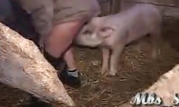 free animal porn,zoo porn video