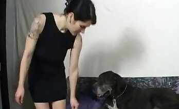 動物セックスビデオ,動物ポルノ