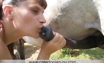 vídeos de zoosex,pornografia animal