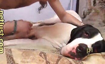 zoosex videor,zoo porr video