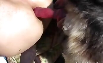 zoosex videoer,zoophilia sex videoer