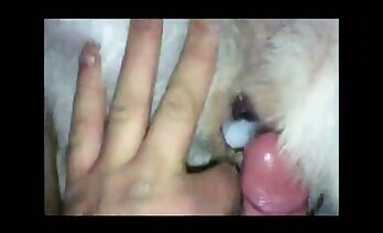 зоофилия секс видео,зоосекс порно видео в высоком качестве