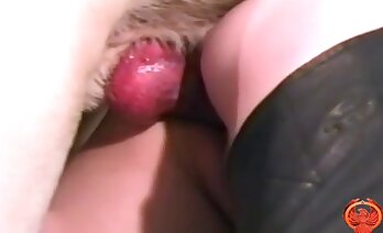 zoosex videoları,hayvanat bahçesi porno videosu