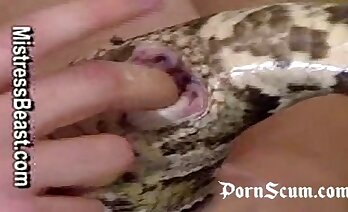 zoosex videos,zoo porn video