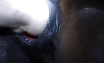 動物園ポルノビデオ,ハードコア動物セックス