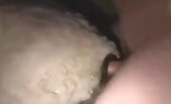 zoosex videos,animal porn