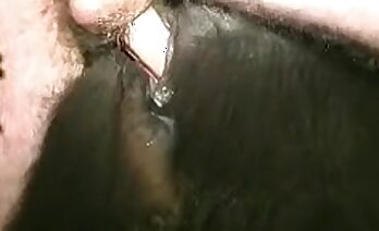 zoosex-videos,wilder sex