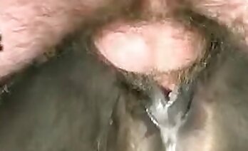 zoosex-videos,wilder sex