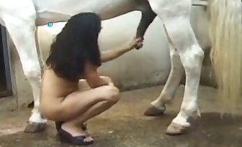 zoosex videos,zoo porn video