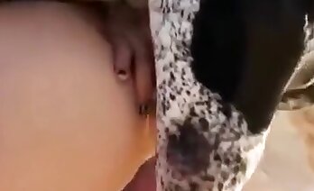 animal and woman sex,dog porn