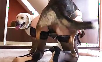 zoosex videa,porno video ze zoo
