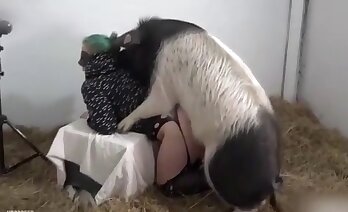 pornografia animal,vídeo pornô de zoológico