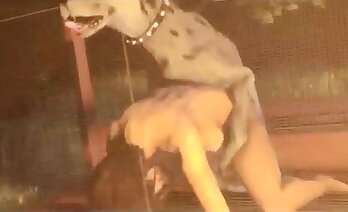 video di sesso zoologico,porno animale