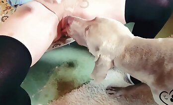 sesso tra animali e donne,porno di animali domestici