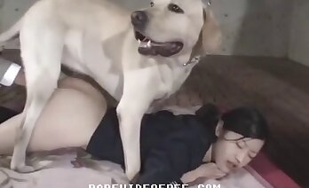 ホットな獣姦ビデオ,犬のクソ