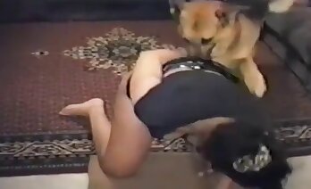 darmowe porno ze zwierzętami,porno ze zwierzętami za darmo