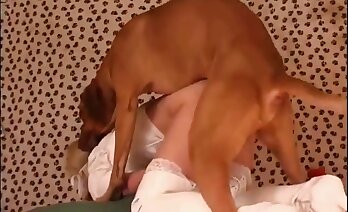 hunde fucking,zoosex videoer