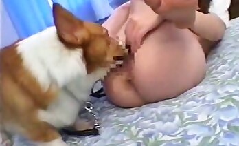 zoo porn video,free porn with animals