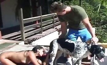 zoosex videi,živalska pornografija