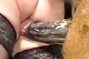 horse porn animal fuck