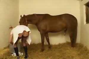 bestiality porn veterinarian