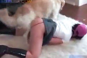 dog porn bestiality porn