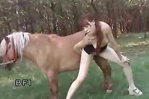 farm sex horse porn