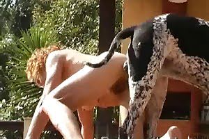 huge dog porn