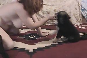 small dog porn