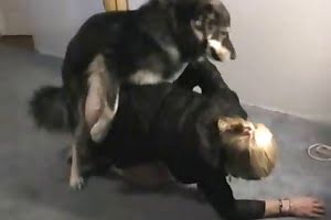 zoofil porn dog-fucks-blonde 