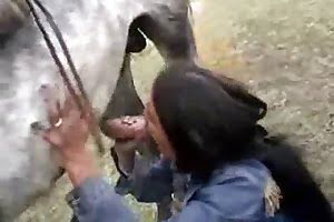 horse porn likes