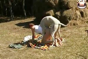 dog porn animal fuck