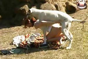 dog porn animal fuck