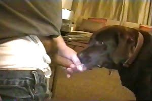 savage animal fuck