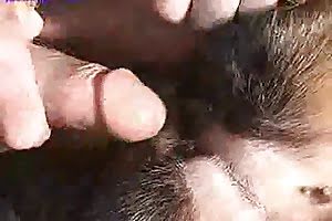 animal fuck dog porn