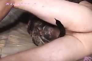 girls-having-sex-with-animals  bestiality porn